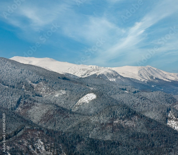 Obraz Winter snowy Carpathian mountains, Ukraine