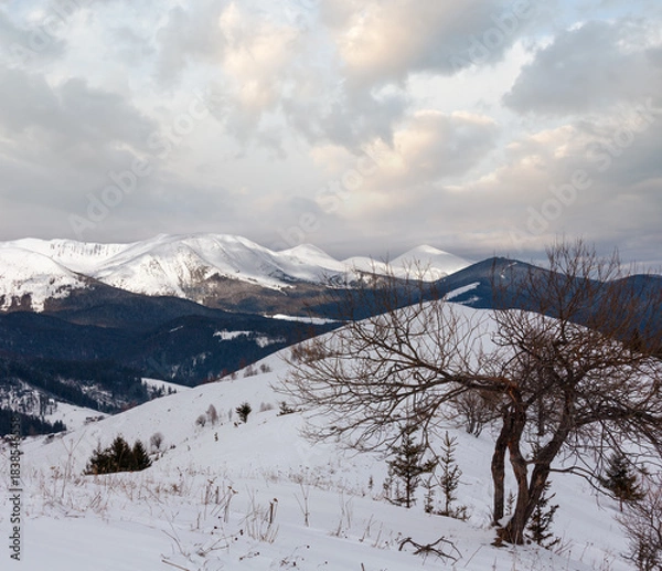 Obraz Morning winter mountain ridge