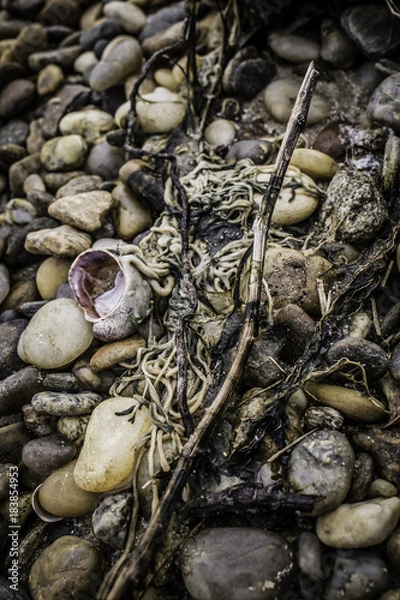 Obraz Beach Treasures 