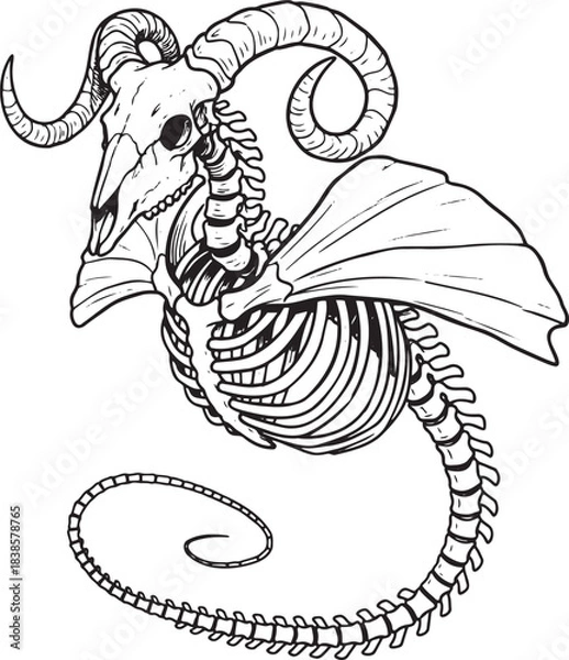 Obraz Monochrome Gothic Fantasy Art: Dead Draconic Beast Outline