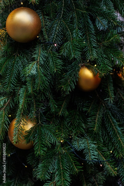Fototapeta Golden Christmas bauble on fir tree with festive lights and soft bokeh