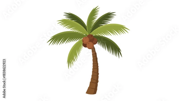 Fototapeta Cartoon coconut palm tree with green fronds and brown trunk against a white background