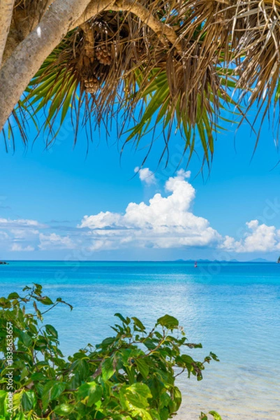 Fototapeta 沖縄の海