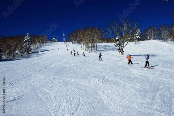 Obraz Hokkaido ski resort