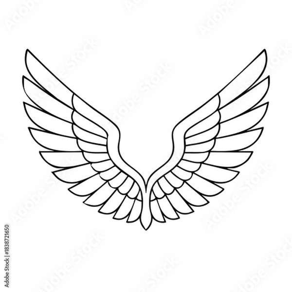 Fototapeta Eagle wings outline with detailed feather segments, clean thin line vector style
