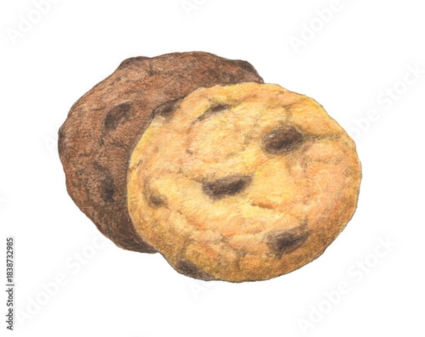 Fototapeta チョコチップクッキー2種　水彩色鉛筆イラスト