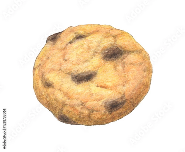 Fototapeta チョコチップクッキー　水彩色鉛筆イラスト