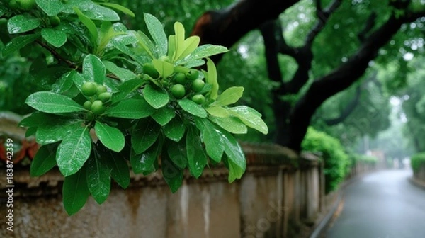 Obraz Explore the Beauty of a Majestic Tree Displaying Vibrant Green Leaves in Full Ultra Detailed Hyper Realistic High Resolution