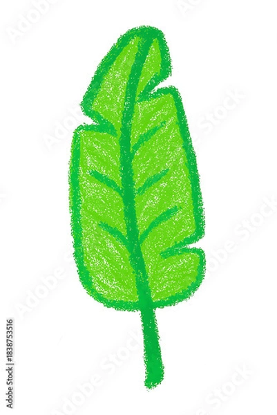 Fototapeta Handdrawn Green Leaf Illustration – Single Botanical Foliage, Organic Nature Elements Collection in Crayon, Sketch, and Minimalist Style for Ecofriendly