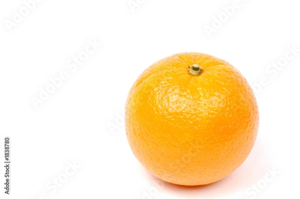 Obraz orange