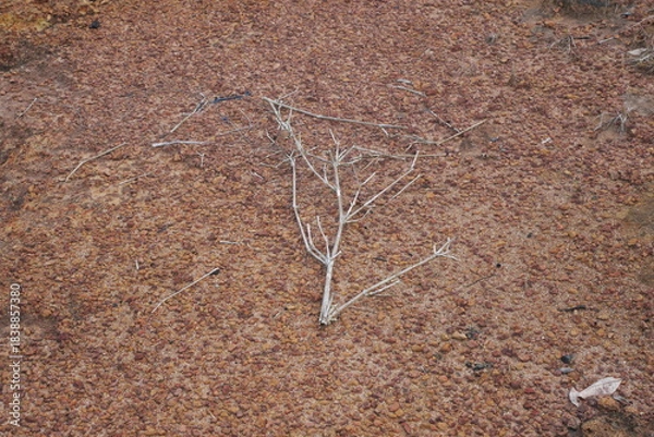 Fototapeta Red natural pebbles create a striking earthy texture, enhancing landscapes with vibrant color and rustic beauty.