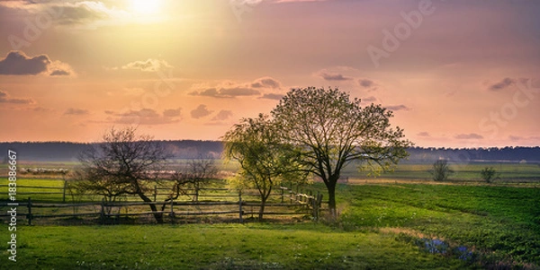 Obraz Koppel in Rehfede