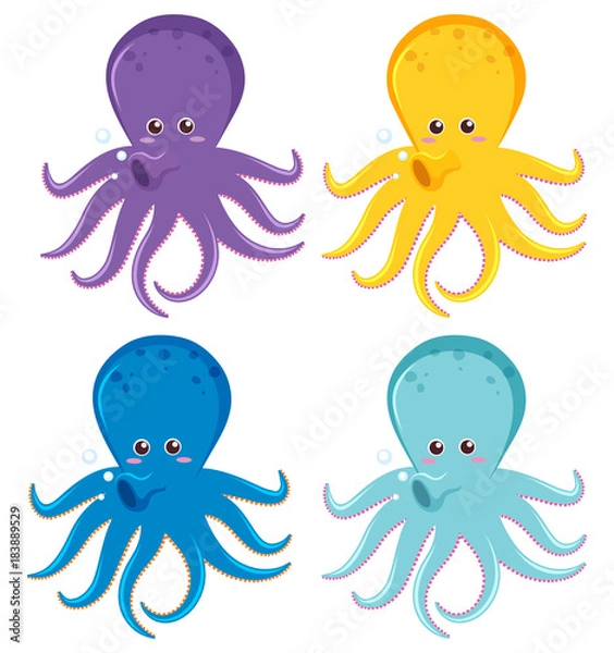 Fototapeta Octopus in four different colors