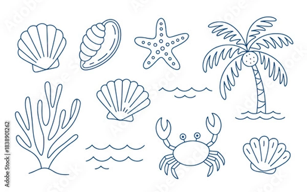 Obraz Hand-Drawn Tropical Coconut Tree and Shells