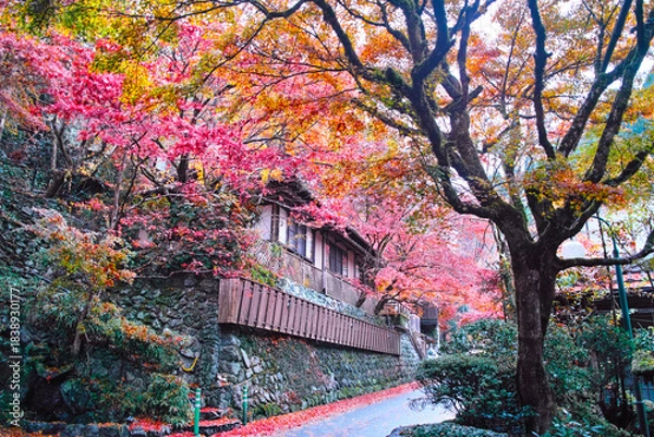 Obraz 京都市左京区、貴船神社への街道沿いの旅館街の街並み
