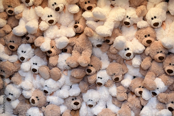 Obraz Soft teddy bears	