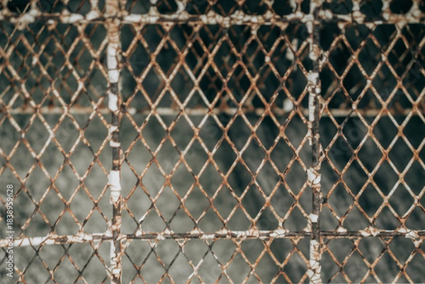 Obraz old rustic  mesh metal background