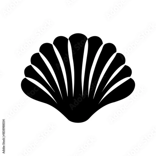 Fototapeta Monochrome image depicting a seashell, with a symmetrical and decorative appearance
