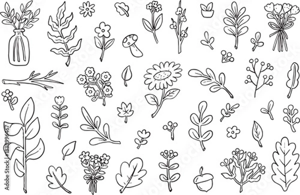 Fototapeta Mega collection of hand drawn outline vector set featuring diverse botanical elements: leaves (oak, maple), flowers, berries, acorn, and herbs. Perfect doodle collection for coloring books, greeting.