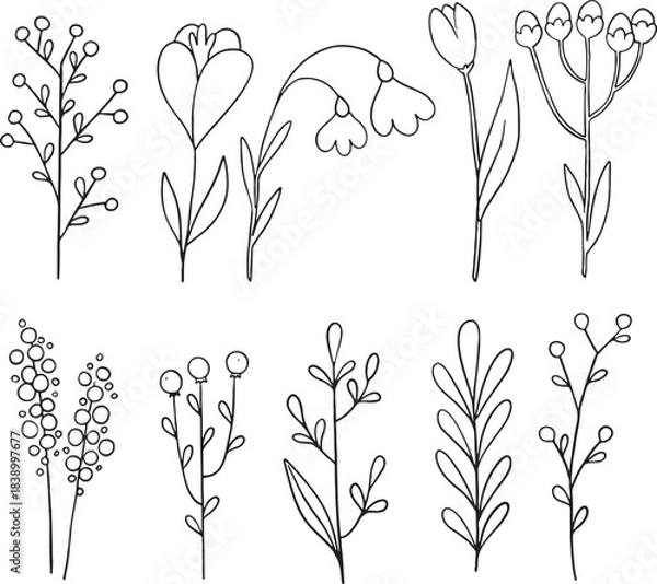 Fototapeta Set of 10 stylized, hand-drawn outline spring flowers, berries, and modern botanical stems. Features abstract tulips and bellflowers in a folk art style. Ideal for minimalist logos, textile prints.