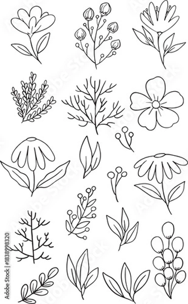 Fototapeta Cute and abstract set of 18 hand-drawn botanical elements, including stylized flowers, leaves, and berry branches. Perfect for nursery decor, children's products, unique branding, and modern surface.
