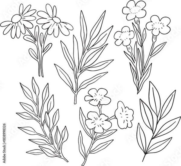 Fototapeta Mega collection of over 50 hand-drawn black and white botanical elements, featuring various wildflowers, leaves, branches, and berries. Highly versatile for logos, wedding design, surface patterns.