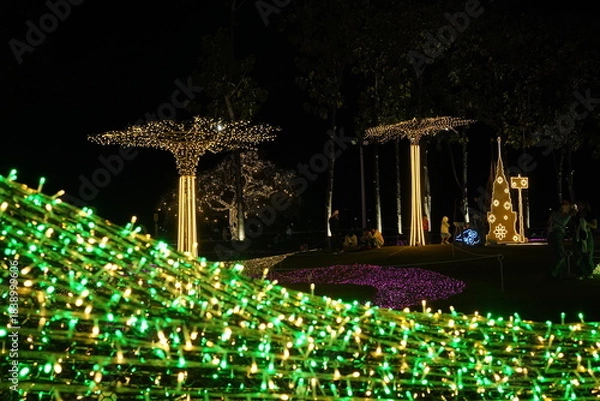 Obraz christmas tree with lights