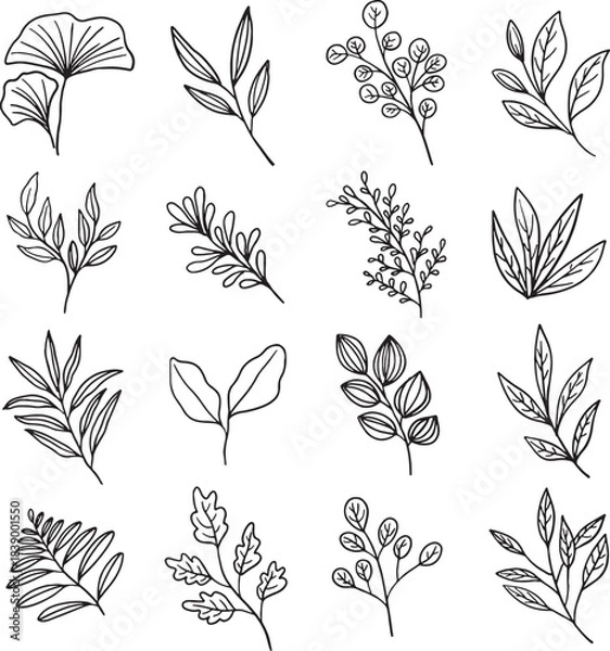 Fototapeta A collection of 16 hand-drawn botanical vector elements. Perfect for logos, wedding invitations, nature-inspired branding, tattoo designs, and various graphic projects. Includes modern leaf branches.