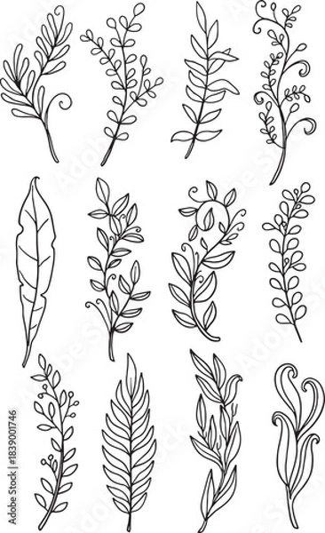 Fototapeta The ultimate master bundle: 120+ diverse hand-drawn vector botanical elements. This vast collection includes detailed wildflowers, stylized leaves, elegant stems, abstract berries, and ferns.
