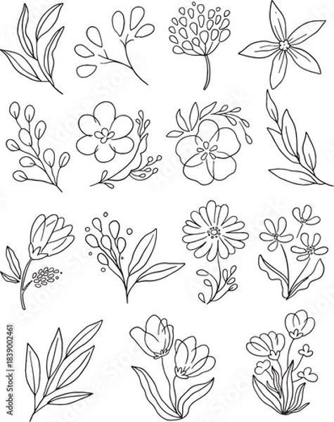 Fototapeta Super Mega Bundle: 100+ diverse hand-drawn vector botanical elements. This definitive collection features detailed wildflowers, abstract stems, leaves, and berries. Ideal for all creative projects.