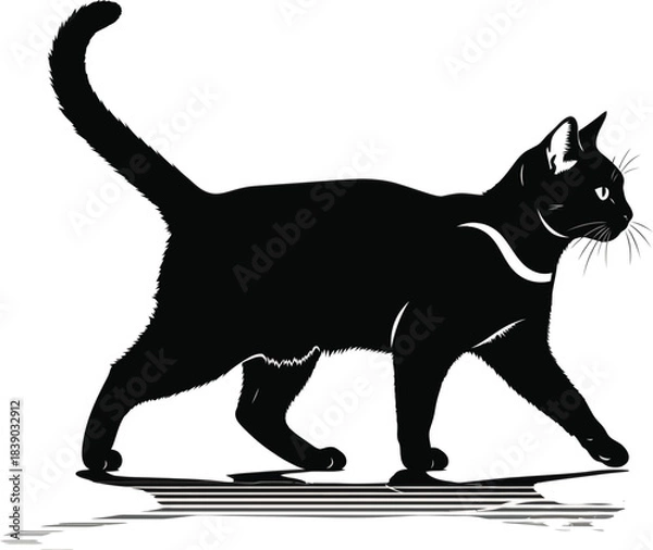 Obraz Black Cat Silhouette Walking