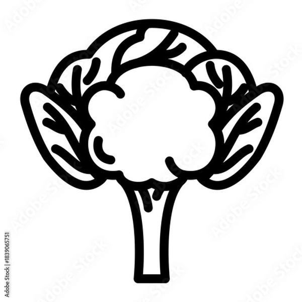 Fototapeta Cauliflower outline icon