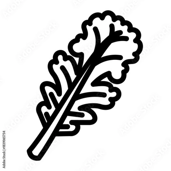 Fototapeta lettuce leaf outline icon