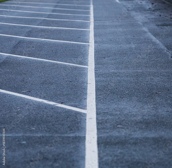 Obraz angled white parking lane markings on wet asphalt surface.
