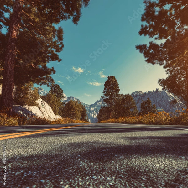 Obraz road in the woods