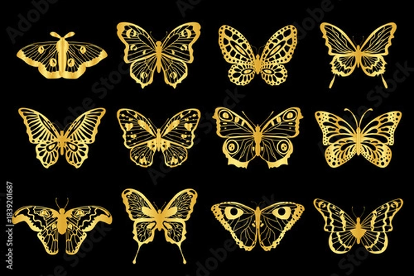Fototapeta Collection of 12 golden pattern decorative butterflies, night moths.Vector graphics.