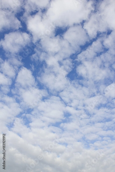 Obraz The sky is covered with fluffy clouds