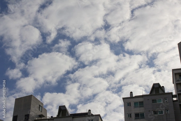 Obraz The sky is covered with fluffy clouds
