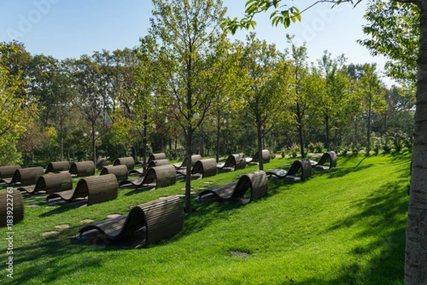 Obraz Landscape of series of curved wooden lounge chairs arranged in wave-like rows on green lawn, surrounded by young trees in public landscape city park Krasnodar or 'Galitsky park' in autumn 2025