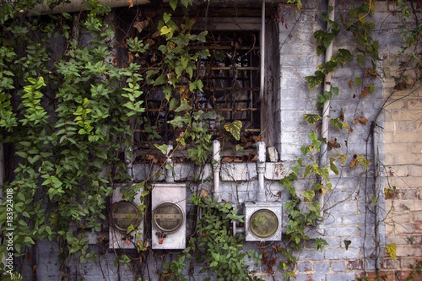 Obraz Old Abandoned window