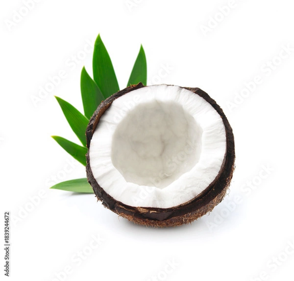 Obraz coconut with leaves