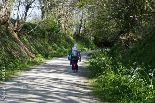 Fototapeta Randonnée solitaire .