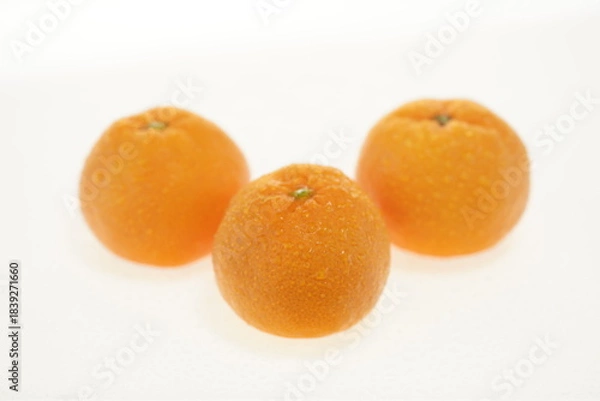 Obraz ミカン　佐賀県多良町産　秀島みかん