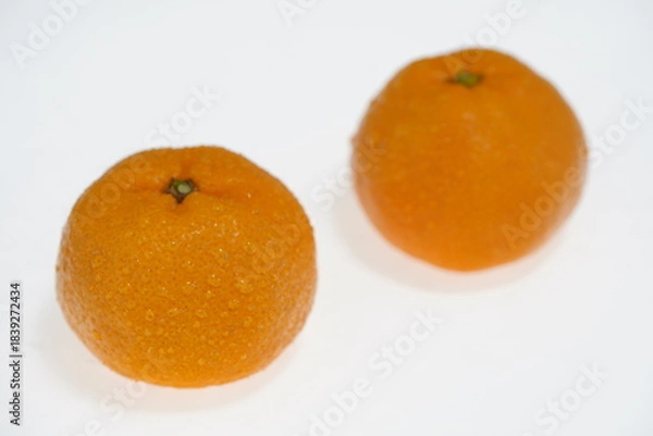 Obraz ミカン　佐賀県多良町産　秀島みかん