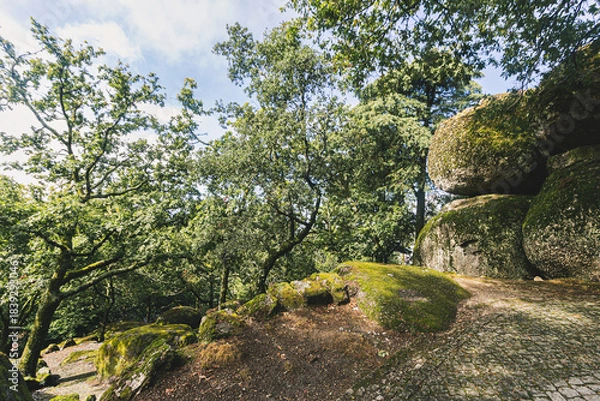 Fototapeta Mossy Forest Path and Ancient Granite Boulders