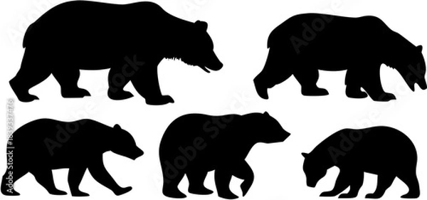 Obraz Bear Poses Collection Vector Illustration