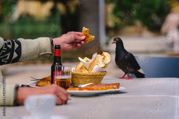Fototapeta pigeons on the table