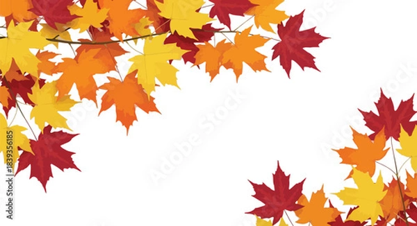 Fototapeta Autumn Maple Leaves Border Background Design for Seasonal Fall Graphics