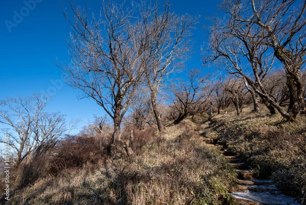 Obraz Climbing Mount Tonodake and Tanzawa, Kanagawa, Japan