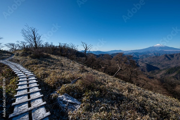 Obraz Climbing Mount Tonodake and Tanzawa, Kanagawa, Japan